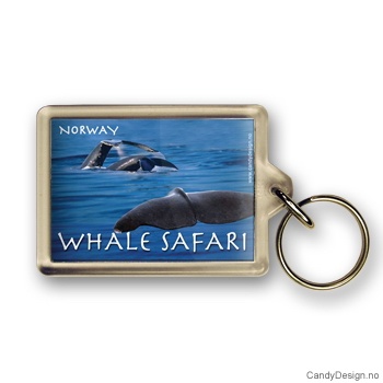 Whale Safari suvenir nøkkelring